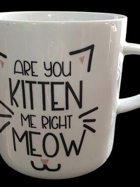 World Market Cat Ceramic Mug 'Are You Kitten Me Right Meow'